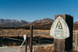 colorado ccw permit guide